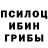 Псилоцибиновые грибы ЛСД David Crim