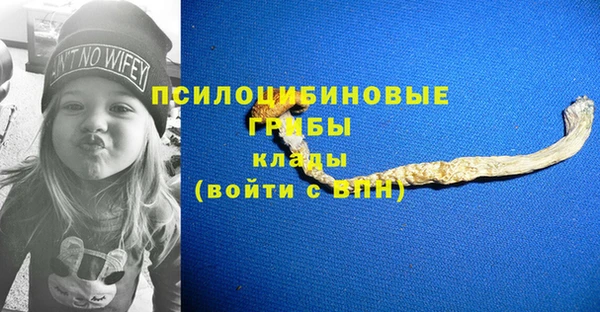 первитин Балахна