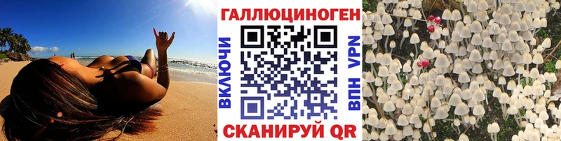 Псилоцибиновые грибы Psilocybine cubensis  kraken ССЫЛКА  Талдом 
